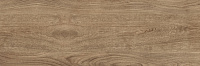 Керамическая плитка (кафель) для стен глазурованная Керамин Шиен 4 250x750