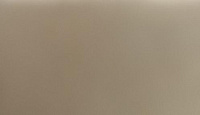 Керамогранит (грес) Керамика Будущего Decor Кофе матовый 600x1200, толщина 10.5 мм 
