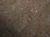 Кварцвиниловая плитка (ламинат) LVT для пола FastFloor Stone Белуха FST-215 фото № 1