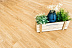Кварцвиниловая плитка (ламинат) SPC для пола Alpine Floor Sequoia Секвойя Royal ECO 6-4 фото № 2
