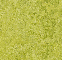 Линолеум Forbo Marmoleum Decibel Chartreuse 322435