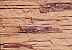 Декоративный искусственный камень Polinka Сланец Рифейский гипсовый угловой составной У0204Л, коричневый люкс фото № 1