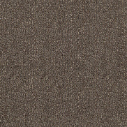 Ковровое покрытие (ковролин) Sintelon Dragon Termo 31431 4м