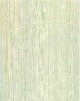 Панель ПВХ (пластиковая) ламинированная Мастер Декор Мятное дерево 2700х250х8