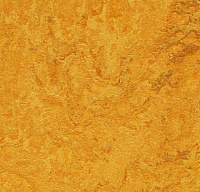 Линолеум Forbo Marmoleum Real Golden sunset 3125, 2,5мм