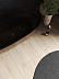 Ламинат Egger PRO Laminate Flooring Classic Aqua EPL213 Дуб Валенди Песочный, 8мм/33кл/4v, РФ фото № 2