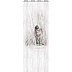 Панель ПВХ (пластиковая) ламинированная Век Панно из 4 шт. Адель (Дуб оскар) 2700х250х9 фото № 3
