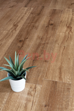 Кварцвиниловая плитка (ламинат) SPC для пола Alpine Floor Real Wood Дуб Royal Синхронное тиснение ECO 2-1 фото № 3