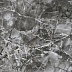 Керамогранит (грес) под мрамор Гранитея Киреты G245 Черный 600x600 полированный фото № 5