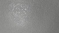 Керамогранит (грес) Керамика Будущего Decor Графит лаппатированный 600x1200, толщина 10.5 мм 