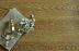 Кварцвиниловая плитка (ламинат) LVT для пола Ecoclick EcoRich NOX-1954 Дуб Абердин фото № 4