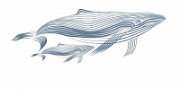 Керамический декор Belani Марис белый киты 300х600