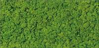 Стеклянная плитка декоративная Cersanit Fresh Moss 290х590