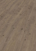 Ламинат Egger Home Laminate Flooring Classic EHL053 Дуб Муром натуральный, 8мм/32кл/без фаски, РФ