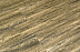 Кварцвиниловая плитка (ламинат) SPC для пола Alpine Floor Classic Клен ECO 140-8 фото № 2