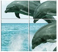 Панель ПВХ (пластиковая) с фотопечатью Кронапласт Unique Океан дельфины 2700*250*8