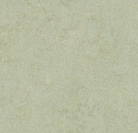 Линолеум Forbo Marmoleum Fresco Frost 3884, 2,5мм