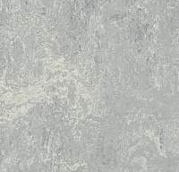 Линолеум Forbo Marmoleum Real Dove grey 2621, 2мм