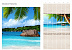 Панель ПВХ (пластиковая) с фотопечатью Кронапласт Unique Осиана пальмы 2700*250*8 фото № 2
