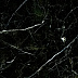 Керамогранит (грес) под мрамор Гранитея Караташ G385 Черный 600x600 полированный фото № 7