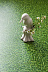 Линолеум IVC Neo Grass 25 3м фото № 2