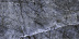 Керамогранит (грес) под мрамор TileKraft Arizona Blue 600х1200 фото № 1