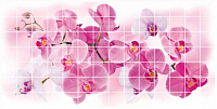 Панель ПВХ (пластиковая) листовая АртДекАрт Мозаика Орхидея розея 955х480х3.2