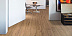Пробковый пол Wicanders Wood Essence (ArtComfort) Prime Rustic Oak фото № 2