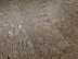 Кварцвиниловая плитка (ламинат) LVT для пола FastFloor Stone Белуха FST-215 фото № 2